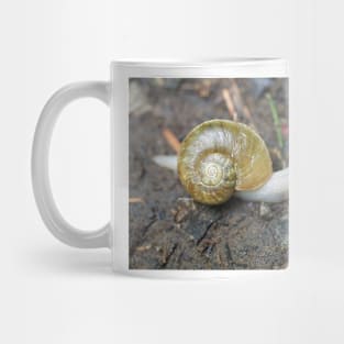 Haplotrema vancouverense snail Mug